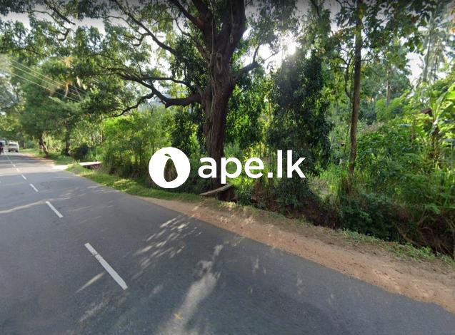 Dambulla-à¶±à·”à·€à¶» à¶´à·Šâ€à¶»à¶°à·à¶± A9 à¶¸à·à¶»à·Šà¶œà¶ºà¶§ à¶¸à·”à·„à·”à¶«à¶½à· à·€à¶§à·’